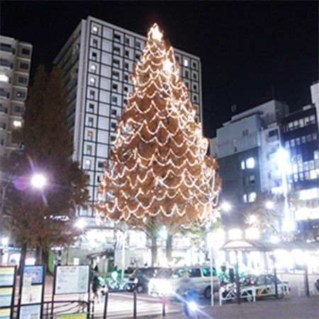 駅南口ロータリー・メタセコイア